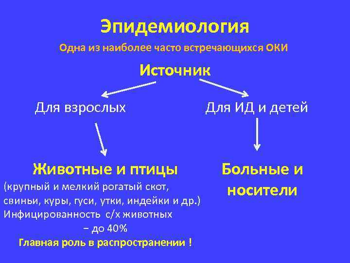 Эпидемиология Одна из наиболее часто встречающихся ОКИ Источник Для взрослых Животные и птицы (крупный
