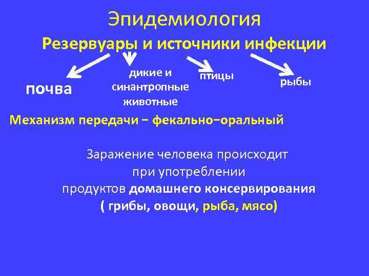 Эпидемиология Резервуары и источники инфекции почва дикие и птицы синантропные животные рыбы Механизм передачи