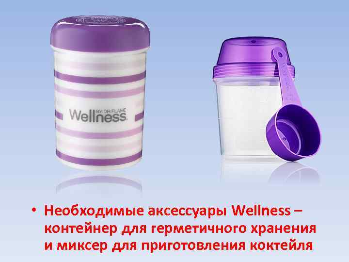  • Необходимые аксессуары Wellness – контейнер для герметичного хранения и миксер для приготовления