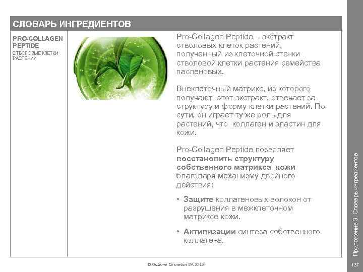 СЛОВАРЬ ИНГРЕДИЕНТОВ СТВОЛОВЫЕ КЛЕТКИ РАСТЕНИЙ Pro-Collagen Peptide – экстракт стволовых клеток растений, полученный из