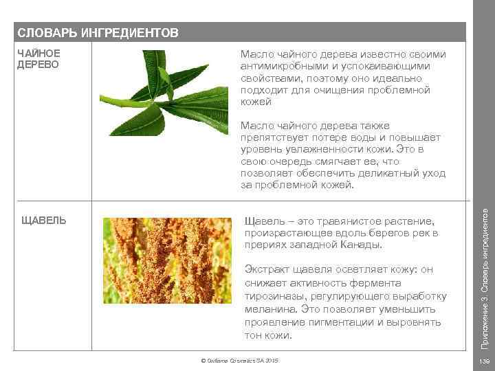 СЛОВАРЬ ИНГРЕДИЕНТОВ ЩАВЕЛЬ Масло чайного дерева известно своими антимикробными и успокаивающими свойствами, поэтому оно