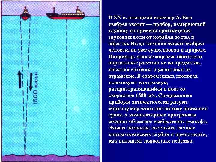 В XX в. немецкий инженер А. Бам изобрел эхолот — прибор, измеряющий глубину по