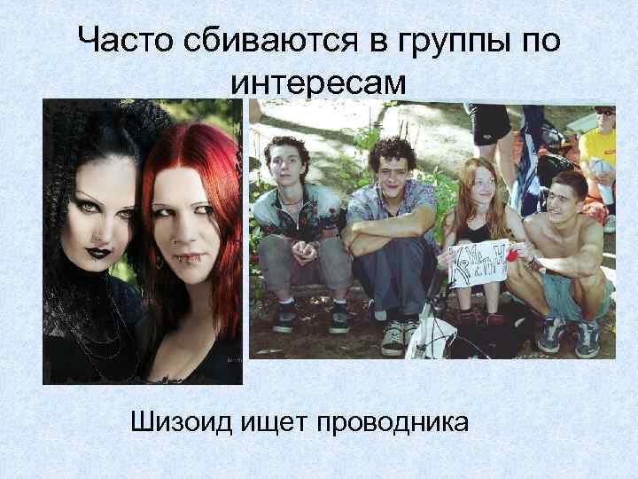 Часто сбиваются в группы по интересам Шизоид ищет проводника 