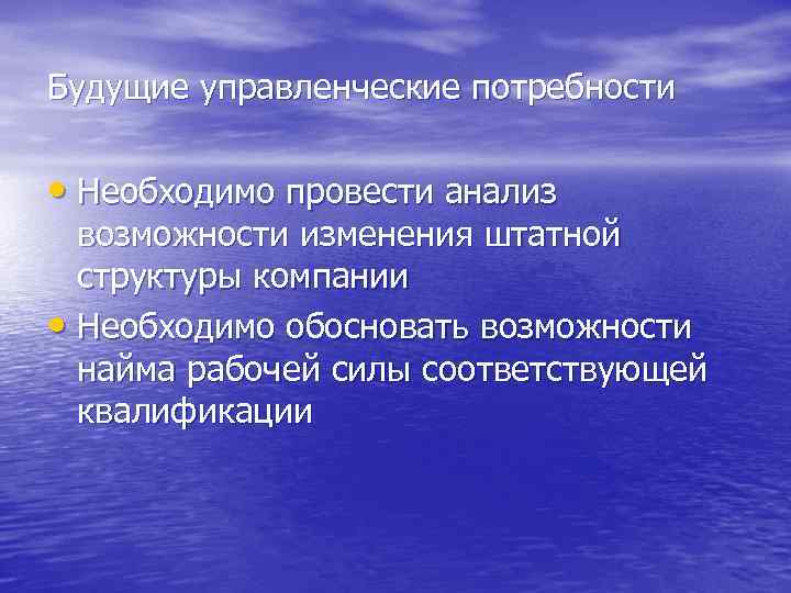 Будущие управленческие потребности • Необходимо провести анализ возможности изменения штатной структуры компании • Необходимо