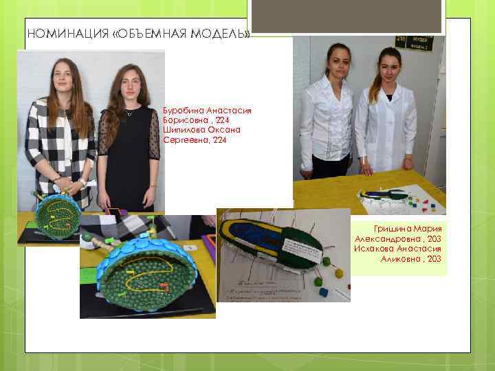 НОМИНАЦИЯ «ОБЪЕМНАЯ МОДЕЛЬ» Буробина Анастасия Борисовна , 224 Шипилова Оксана Сергеевна, 224 Гришина Мария