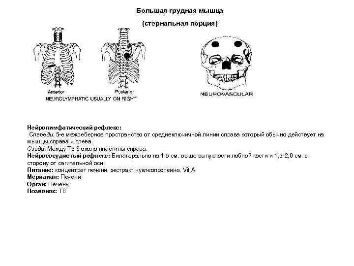 Большая грудная мышца (стернальная порция) Нейролимфатический рефлекс: Спереди: 5 -е межреберное пространство от среднеключичной