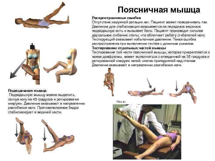 Поясничная мышца Распространенные ошибки Отсутствие наружной ротации ног. Пациент может поворачивать таз. Давление для