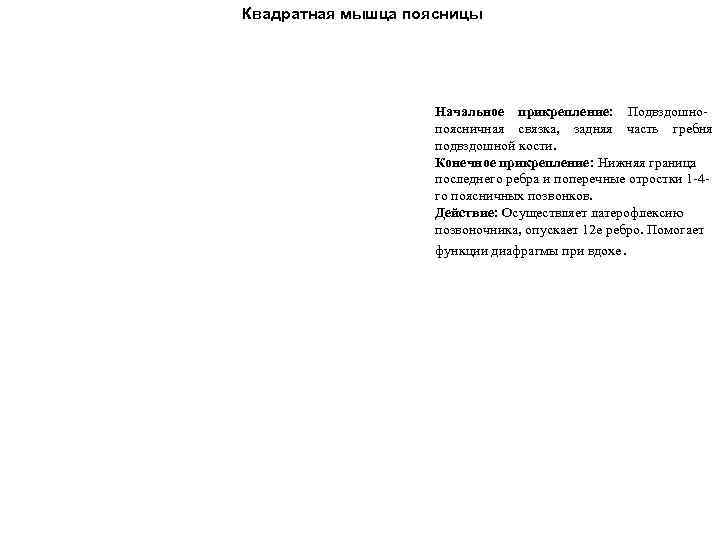 Квадратная мышца поясницы Начальное прикрепление: Подвздошнопоясничная связка, задняя часть гребня подвздошной кости. Конечное прикрепление: