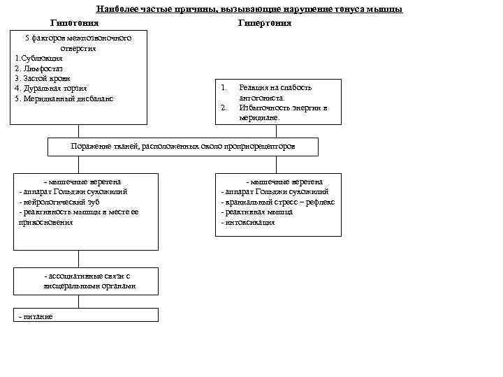 Наиболее частые причины, вызывающие нарушение тонуса мышцы Гипотония Гипертония 5 факторов межпозвоночного отверстия 1.