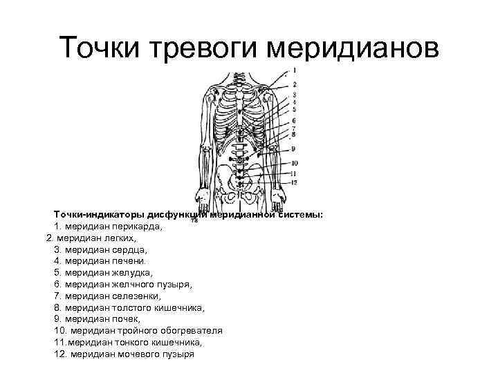 Точки тревоги меридианов Точки-индикаторы дисфункции меридианной системы: 1. меридиан перикарда, 2. меридиан легких, 3.