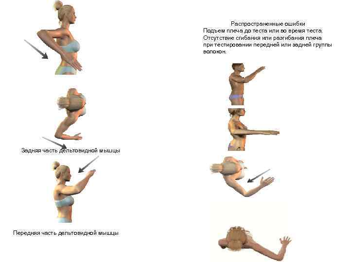 Распространенные ошибки Подъем плеча до теста или во время теста. Отсутствие сгибания или разгибания