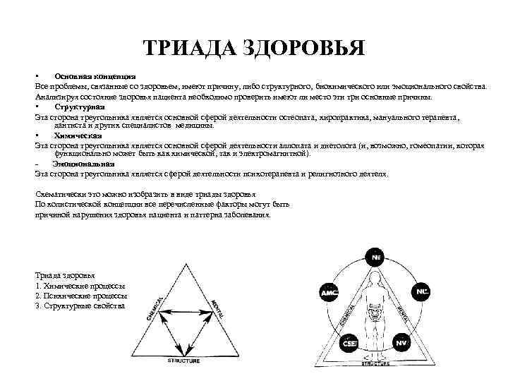 ТРИАДА ЗДОРОВЬЯ • Основная концепция Все проблемы, связанные со здоровьем, имеют причину, либо структурного,