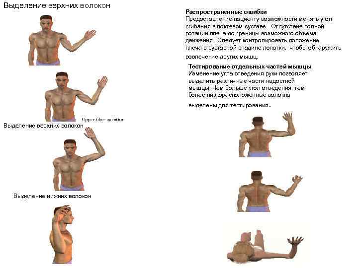 Выделение верхних волокон Распространенные ошибки Предоставление пациенту возможности менять угол сгибания в локтевом суставе.