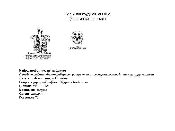 Большая грудная мышца (ключичная порция) Нейролимфатический рефлекс: Передние отделы: 6 -е межреберное пространство от