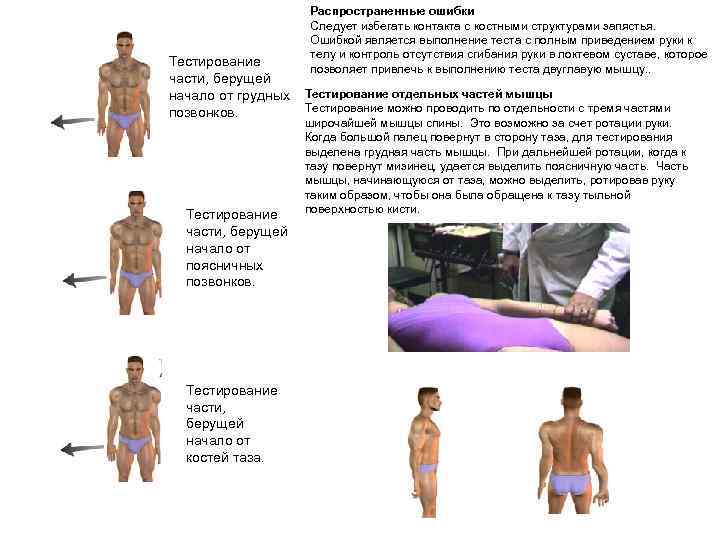 Тестирование части, берущей начало от грудных позвонков. Тестирование части, берущей начало от поясничных позвонков.