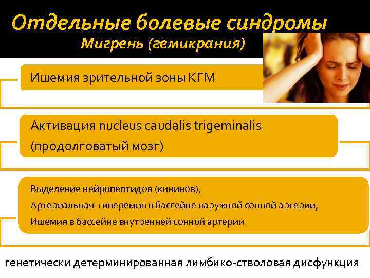 Отдельные болевые синдромы Мигрень (гемикрания) Ишемия зрительной зоны КГМ Активация nucleus caudalis trigeminalis (продолговатый