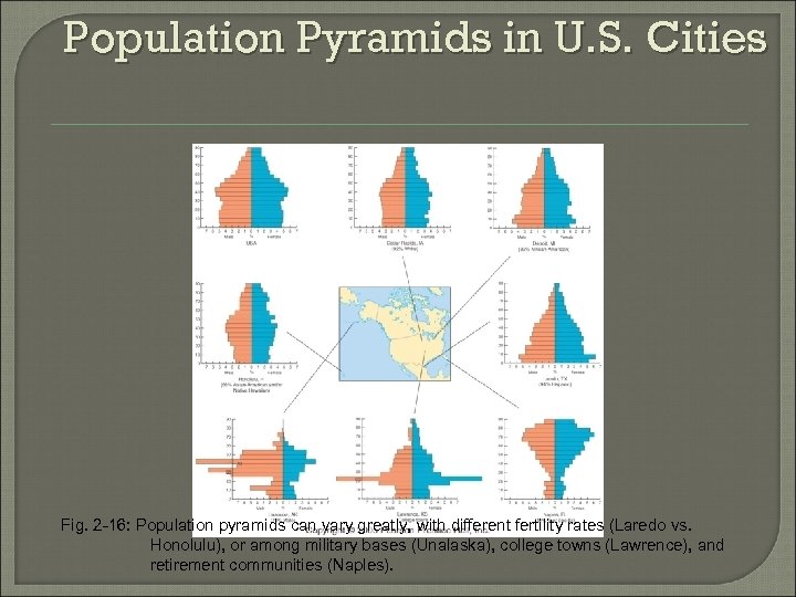 Population Pyramids in U. S. Cities Fig. 2 -16: Population pyramids can vary greatly,