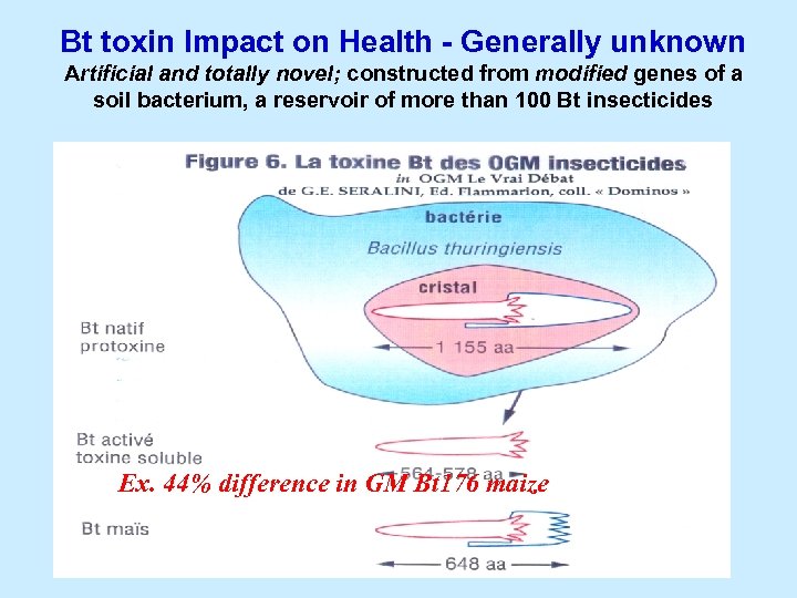 Bt toxin Impact on Health - Generally unknown Artificial and totally novel; constructed from
