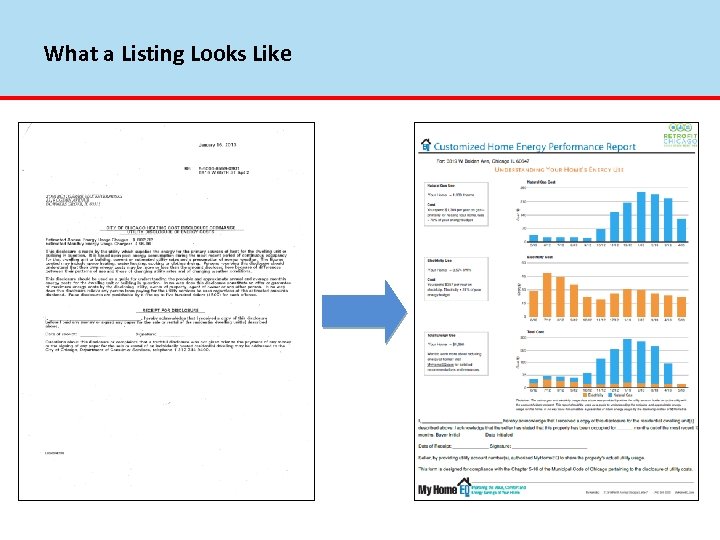 What a Listing Looks Like 