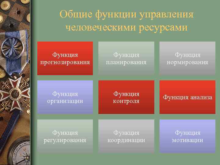 Общие функции управления человеческими ресурсами Функция прогнозирования Функция планирования Функция нормирования Функция организации Функция