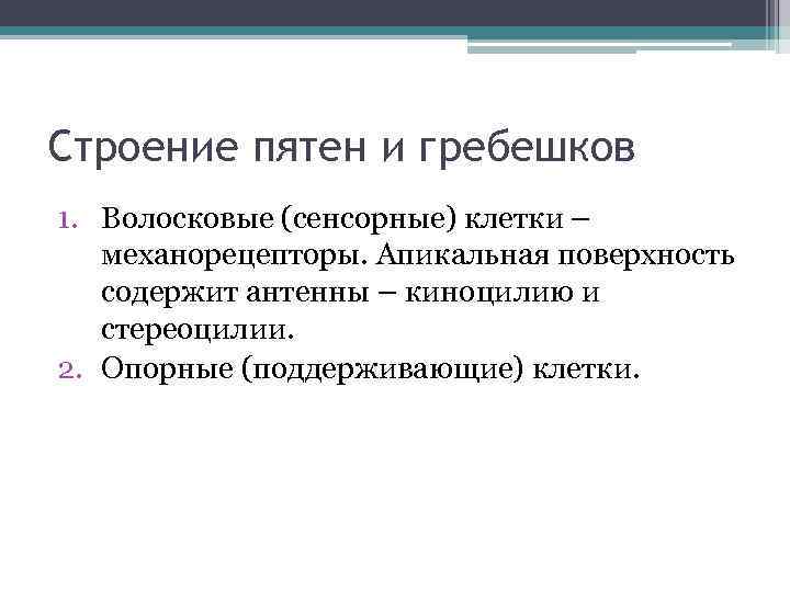 Строение пятен и гребешков 1. Волосковые (сенсорные) клетки – механорецепторы. Апикальная поверхность содержит антенны