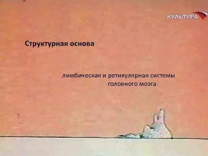 Структурная основа лимбическая и ретикулярная системы головного мозга 