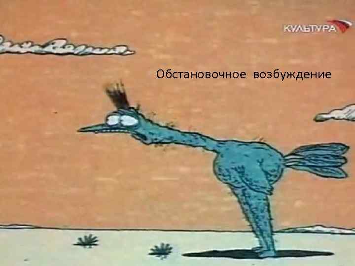 Обстановочное возбуждение 