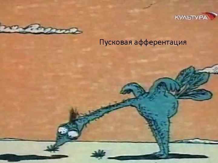 Пусковая афферентация 