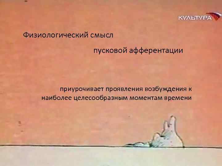 Физиологический смысл пусковой афферентации приурочивает проявления возбуждения к наиболее целесообразным моментам времени 