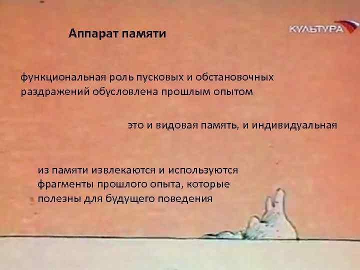 Аппарат памяти функциональная роль пусковых и обстановочных раздражений обусловлена прошлым опытом это и видовая