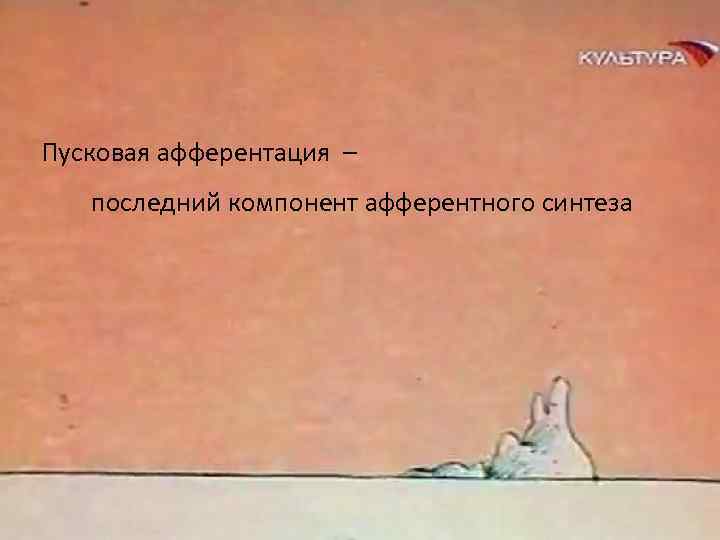 Пусковая афферентация – последний компонент афферентного синтеза 