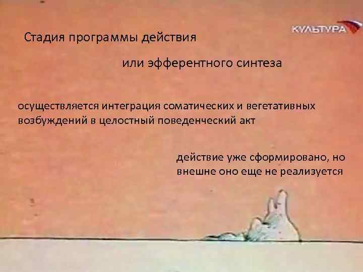 Стадия программы действия или эфферентного синтеза осуществляется интеграция соматических и вегетативных возбуждений в целостный
