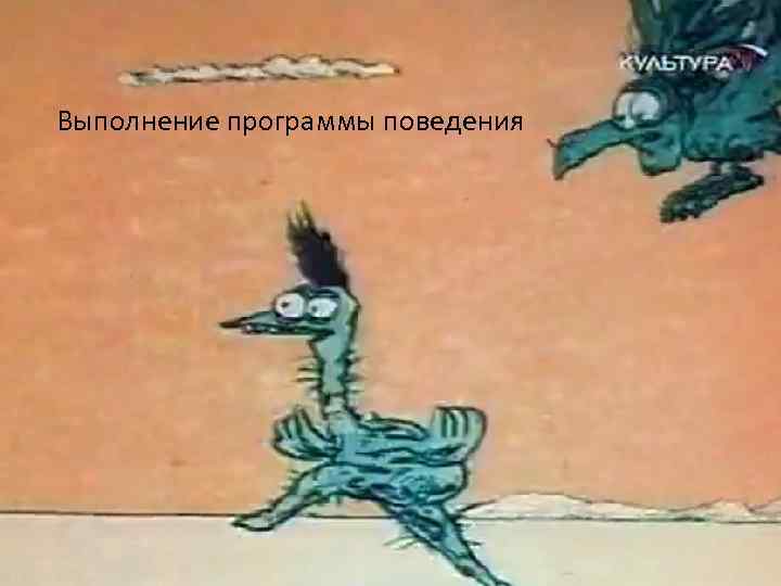 Выполнение программы поведения 