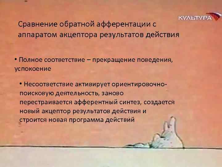 Сравнение обратной афферентации с аппаратом акцептора результатов действия • Полное соответствие – прекращение поведения,