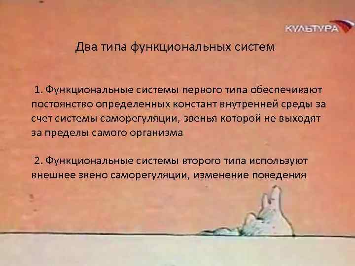 Два типа функциональных систем 1. Функциональные системы первого типа обеспечивают постоянство определенных констант внутренней