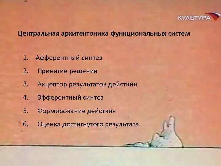 Центральная архитектоника функциональных систем 1. Афферентный синтез 2. Принятие решения 3. Акцептор результатов действия