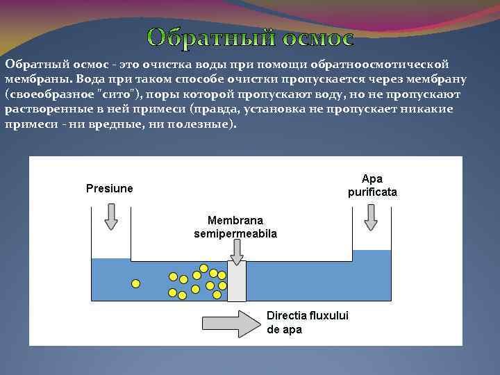 Осмос это простым языком. Явление осмоса. Обратный осмос.