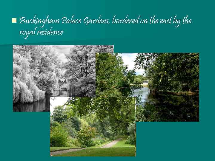 n Buckingham Palace Gardens, bordered on the east by the royal residence 