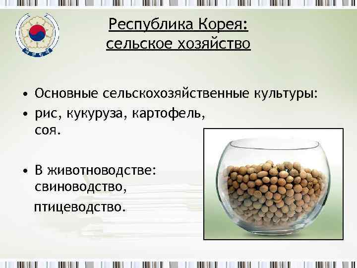 Республика Корея: сельское хозяйство • Основные сельскохозяйственные культуры: • рис, кукуруза, картофель, соя. •