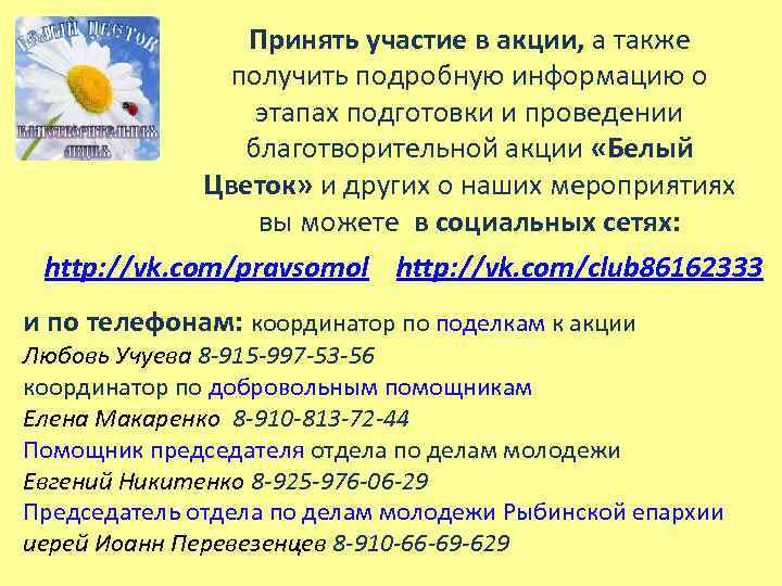 Принять участие в акции, а также получить подробную информацию о этапах подготовки и проведении