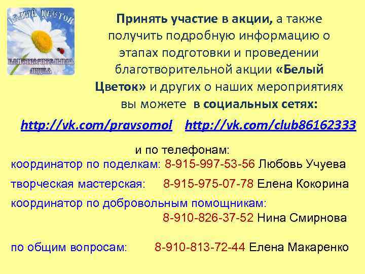 Принять участие в акции, а также получить подробную информацию о этапах подготовки и проведении