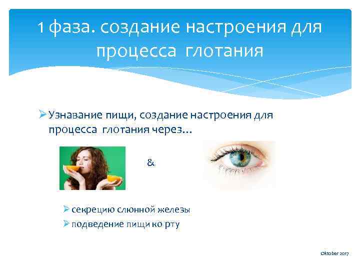 1 фаза. создание настроения для процесса глотания Ø Узнавание пищи, создание настроения для процесса