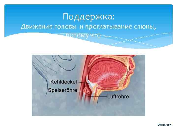 Поддержка: Движение головы и проглатывание слюны, потому что … Oktober 2017 