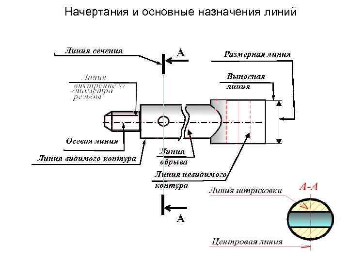 Начеpтания и основные назначения линий Линия сечения А Размерная линия Выносная линия Осевая линия