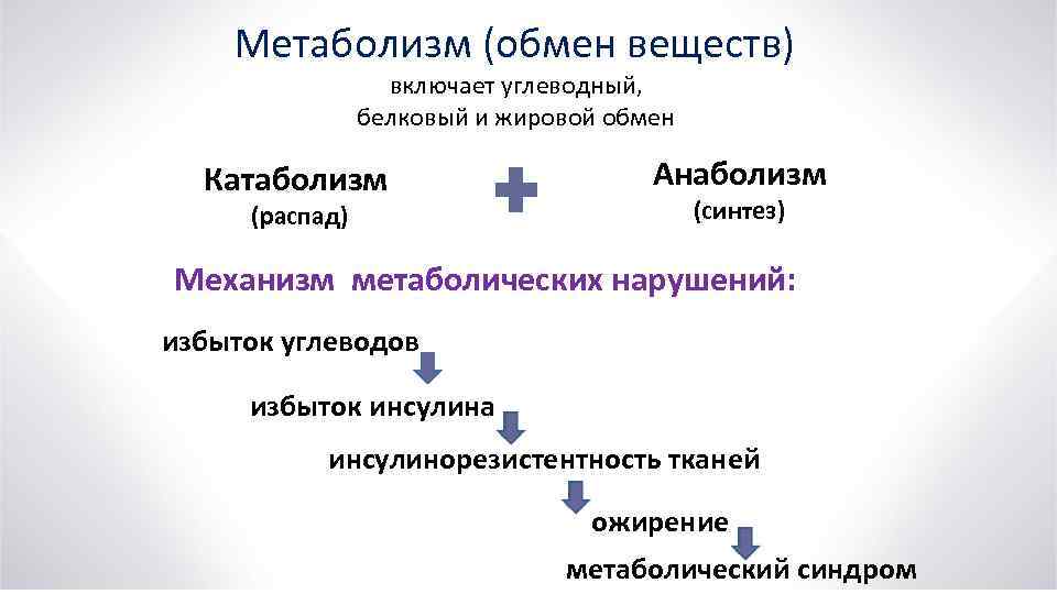 Метаболизм (обмен веществ) включает углеводный, белковый и жировой обмен Катаболизм (распад) Анаболизм (синтез) Механизм