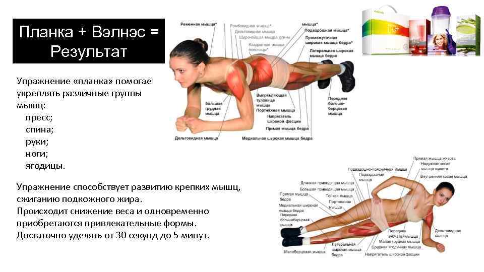 Планка + Вэлнэс = Результат Упражнение «планка» помогает укреплять различные группы мышц: пресс; спина;
