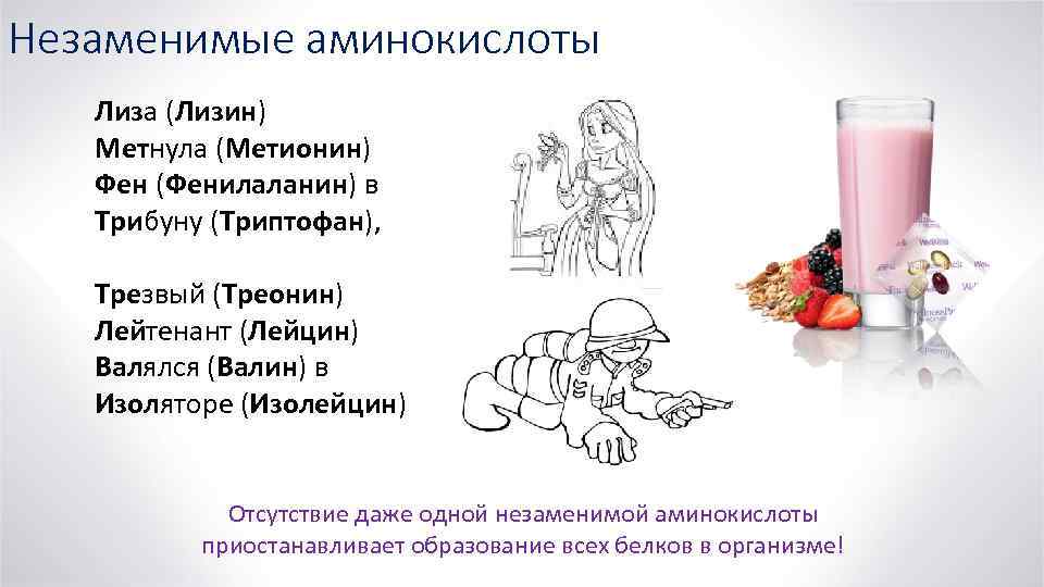 Незаменимые аминокислоты Лиза (Лизин) Метнула (Метионин) Фен (Фенилаланин) в Трибуну (Триптофан), Трезвый (Треонин) Лейтенант