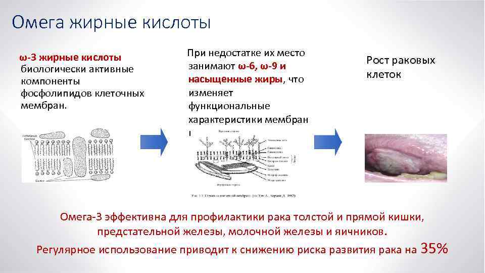 Омега жирные кислоты ω-3 жирные кислоты биологически активные компоненты фосфолипидов клеточных мембран. При недостатке