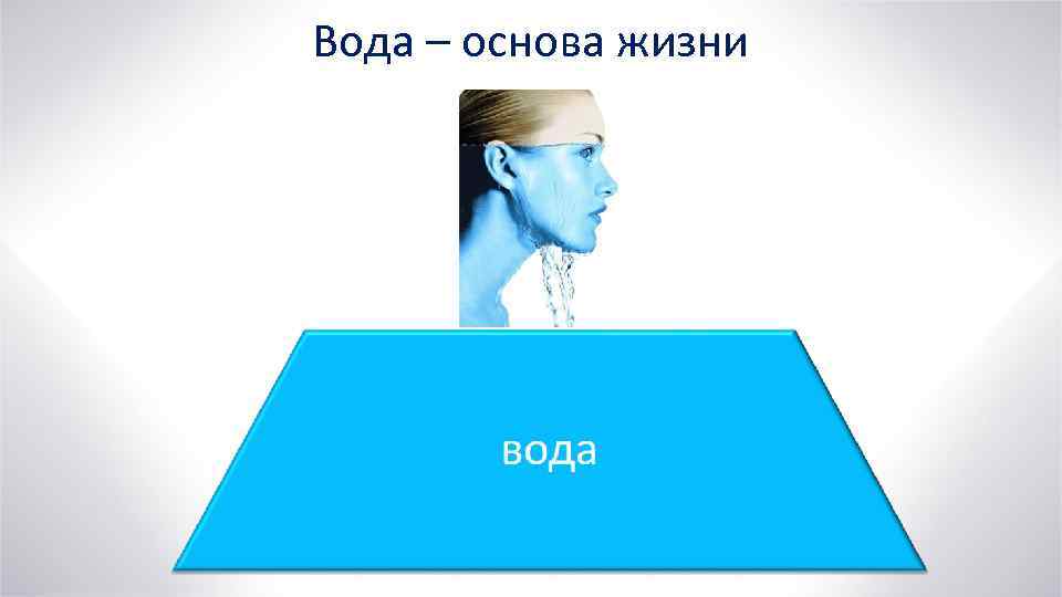 Вода – основа жизни 