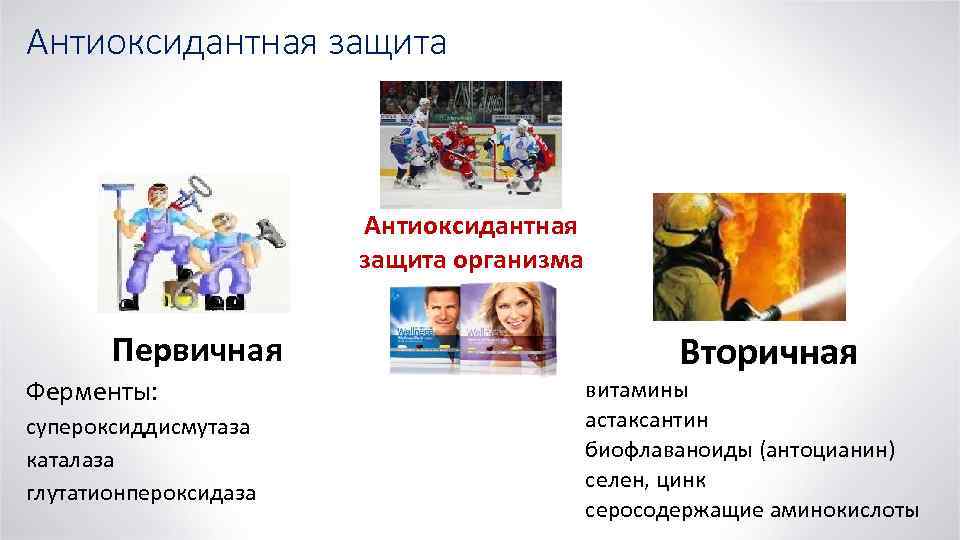 Антиоксидантная защита организма Первичная Ферменты: супероксиддисмутаза каталаза глутатионпероксидаза Вторичная витамины астаксантин биофлаваноиды (антоцианин) селен,